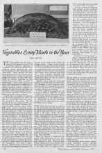 Better Homes & Gardens September 1926 Magazine Article: Vegetables Every Month in the Year