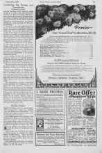 Better Homes & Gardens September 1926 Magazine Article: Dahlia Stakes