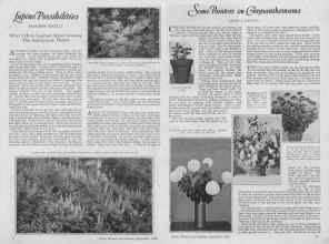 Better Homes & Gardens September 1926 Magazine Article: Page 8
