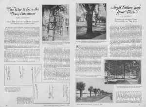 Better Homes & Gardens September 1926 Magazine Article: Page 12