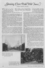 Better Homes & Gardens October 1926 Magazine Article: Showing Civic Pride With Trees