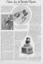 Better Homes & Gardens October 1926 Magazine Article: Nature Lore for Youthful Readers
