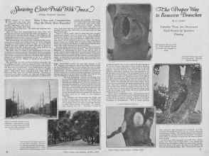 Better Homes & Gardens October 1926 Magazine Article: Page 8