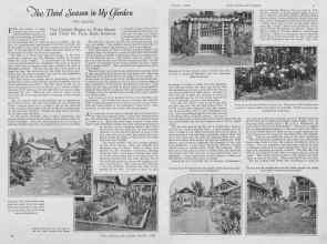 Better Homes & Gardens October 1926 Magazine Article: The Third Season in My Garden