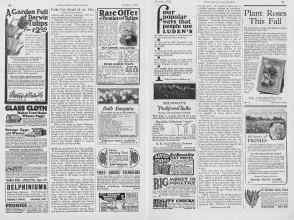 Better Homes & Gardens October 1926 Magazine Article: Page 94