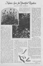 Better Homes & Gardens November 1926 Magazine Article: Nature Lore for Youthful Readers