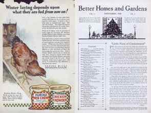 Better Homes & Gardens November 1926 Magazine Article: Page 2
