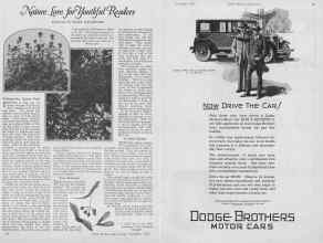 Better Homes & Gardens November 1926 Magazine Article: Page 20