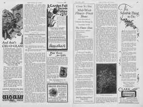 Better Homes & Gardens November 1926 Magazine Article: Learn A Wildflower Each Month
