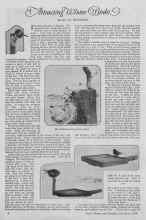 Better Homes & Gardens December 1926 Magazine Article: Attracting Winter Birds