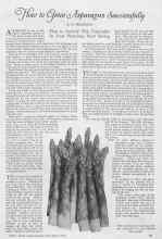 Better Homes & Gardens December 1926 Magazine Article: How to Grow Asparagus Successfully