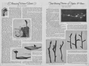 Better Homes & Gardens December 1926 Magazine Article: Page 8