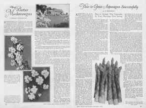 Better Homes & Gardens December 1926 Magazine Article: Page 12