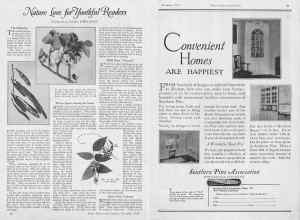 Better Homes & Gardens December 1926 Magazine Article: Page 20