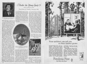 Better Homes & Gardens December 1926 Magazine Article: Page 22