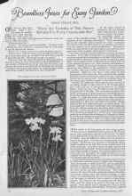 Better Homes & Gardens January 1927 Magazine Article: Beardless prises for Every Garden