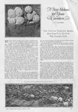 Better Homes & Gardens January 1927 Magazine Article: A few Melons for Your Garden