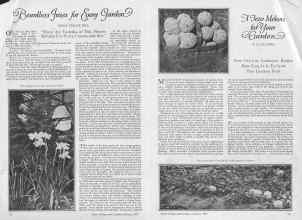 Better Homes & Gardens January 1927 Magazine Article: Page 10