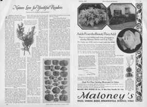Better Homes & Gardens January 1927 Magazine Article: Page 20