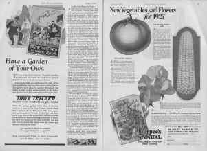 Better Homes & Gardens January 1927 Magazine Article: Page 26