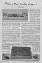 Better Homes & Gardens February 1927 Magazine Article: How to Grow Quality Lettuce