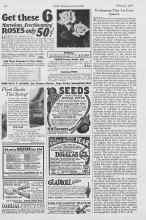 Better Homes & Gardens February 1927 Magazine Article: Everbearers That Are Everbearers