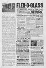 Better Homes & Gardens February 1927 Magazine Article: Delphinium seed often fail to sprout if they are not entirely fresh, so I use this method