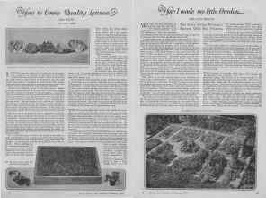Better Homes & Gardens February 1927 Magazine Article: Page 10