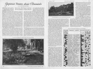 Better Homes & Gardens February 1927 Magazine Article: Important Pointers about Perennials