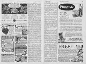 Better Homes & Gardens February 1927 Magazine Article: Page 82