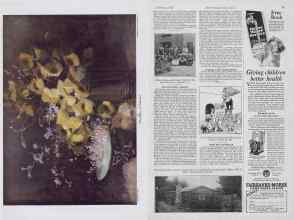 Better Homes & Gardens February 1927 Magazine Article: Page 88