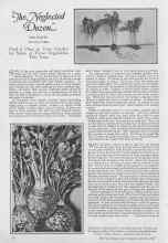 Better Homes & Gardens March 1927 Magazine Article: 