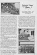 Better Homes & Gardens March 1927 Magazine Article: Give the Shrubs A Chance