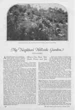 Better Homes & Gardens March 1927 Magazine Article: My Neighbor's Hillside Garden