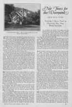 Better Homes & Gardens March 1927 Magazine Article: Nut Trees for the Dooryard