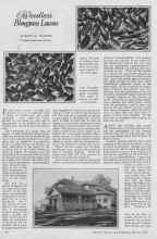 Better Homes & Gardens March 1927 Magazine Article: Weedless Bluegrass Lawns