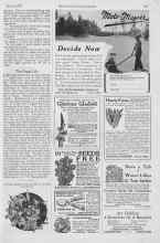 Better Homes & Gardens March 1927 Magazine Article: The Regal Lily