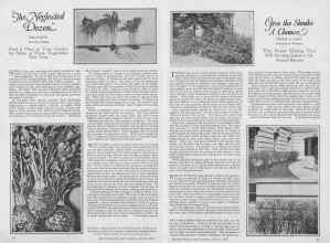 Better Homes & Gardens March 1927 Magazine Article: Page 10