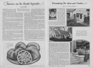 Better Homes & Gardens March 1927 Magazine Article: Page 24