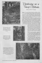 Better Homes & Gardens April 1927 Magazine Article: Gardening on a Steep Hillside