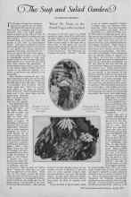 Better Homes & Gardens April 1927 Magazine Article: The Soup and Salad Garden
