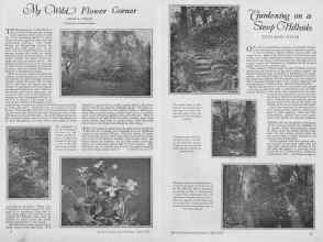 Better Homes & Gardens April 1927 Magazine Article: Page 10