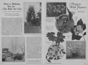 Better Homes & Gardens April 1927 Magazine Article: Page 14