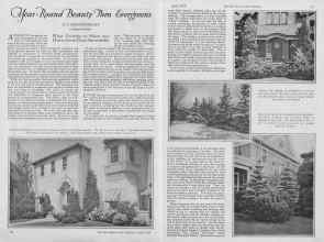 Better Homes & Gardens April 1927 Magazine Article: Year-Round Beauty Thru Evergreens