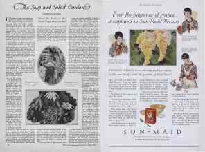 Better Homes & Gardens April 1927 Magazine Article: Page 34