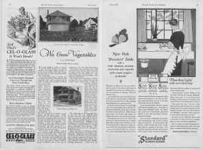 Better Homes & Gardens April 1927 Magazine Article: Page 46