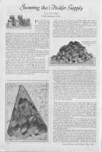 Better Homes & Gardens May 1927 Magazine Article: Insuring the Pickle Supply