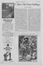 Better Homes & Gardens May 1927 Magazine Article: How We Grow Cabbage