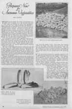 Better Homes & Gardens June 1927 Magazine Article: Prepare Now for Autumn Vegetables