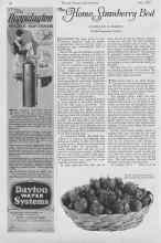 Better Homes & Gardens June 1927 Magazine Article: The Home Strawberry Bed